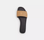 Teri Slides Sandal